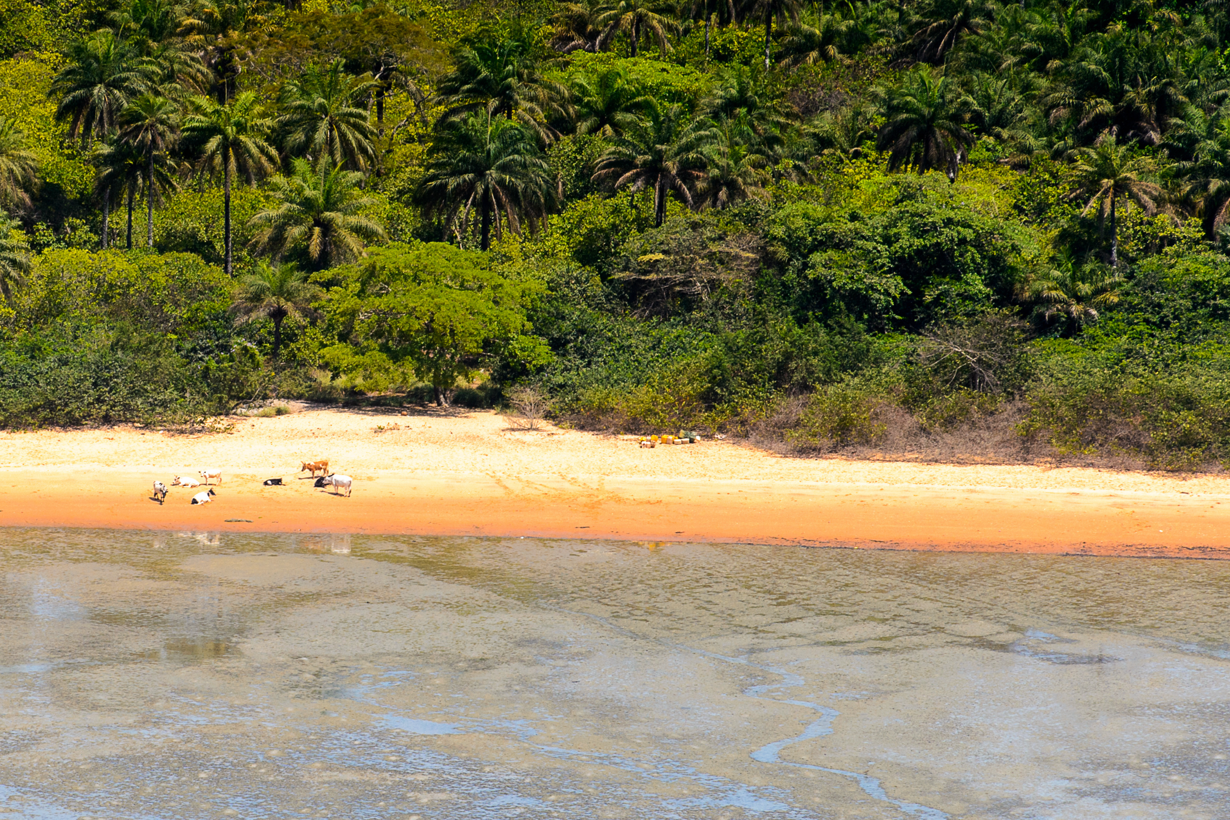 carache, bissagos islands (4).webp